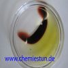 Bild: Chemie in der Petrischale