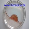 Bild: Chemie in der Petrischale