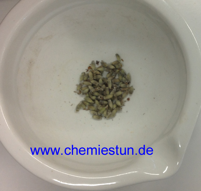 Bild: Beispielbild