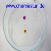 Bild: Ionenwanderung von Eisenchlorid
