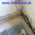 Vorschau Bild 269