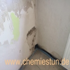 Vorschau Bild 249